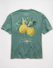 AE Boxy Destination Graphic T-Shirt