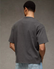 AE Boxy Bald Eagle Graphic T-Shirt