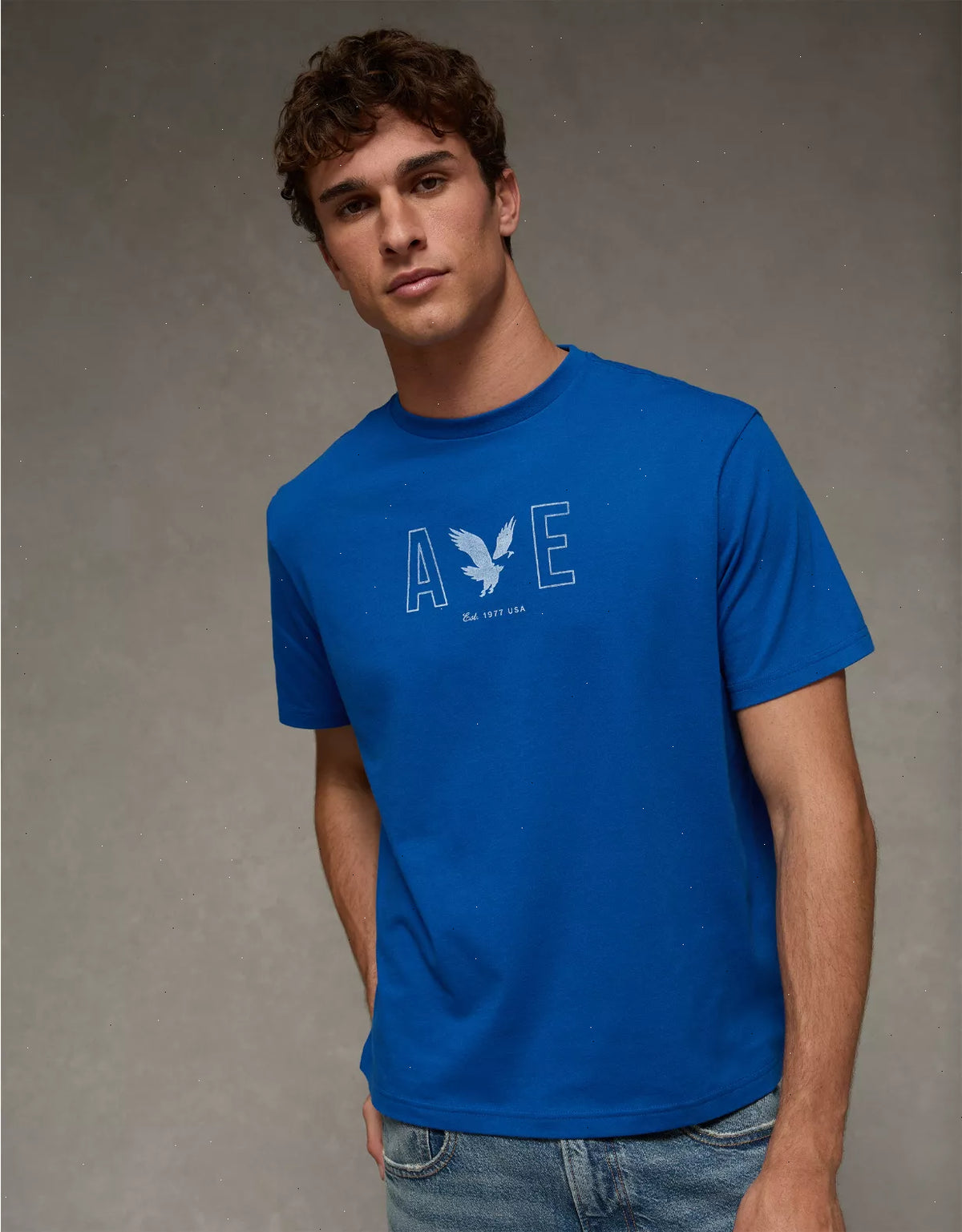 AE Lightweight Icon Logo Graphic T-Shirt