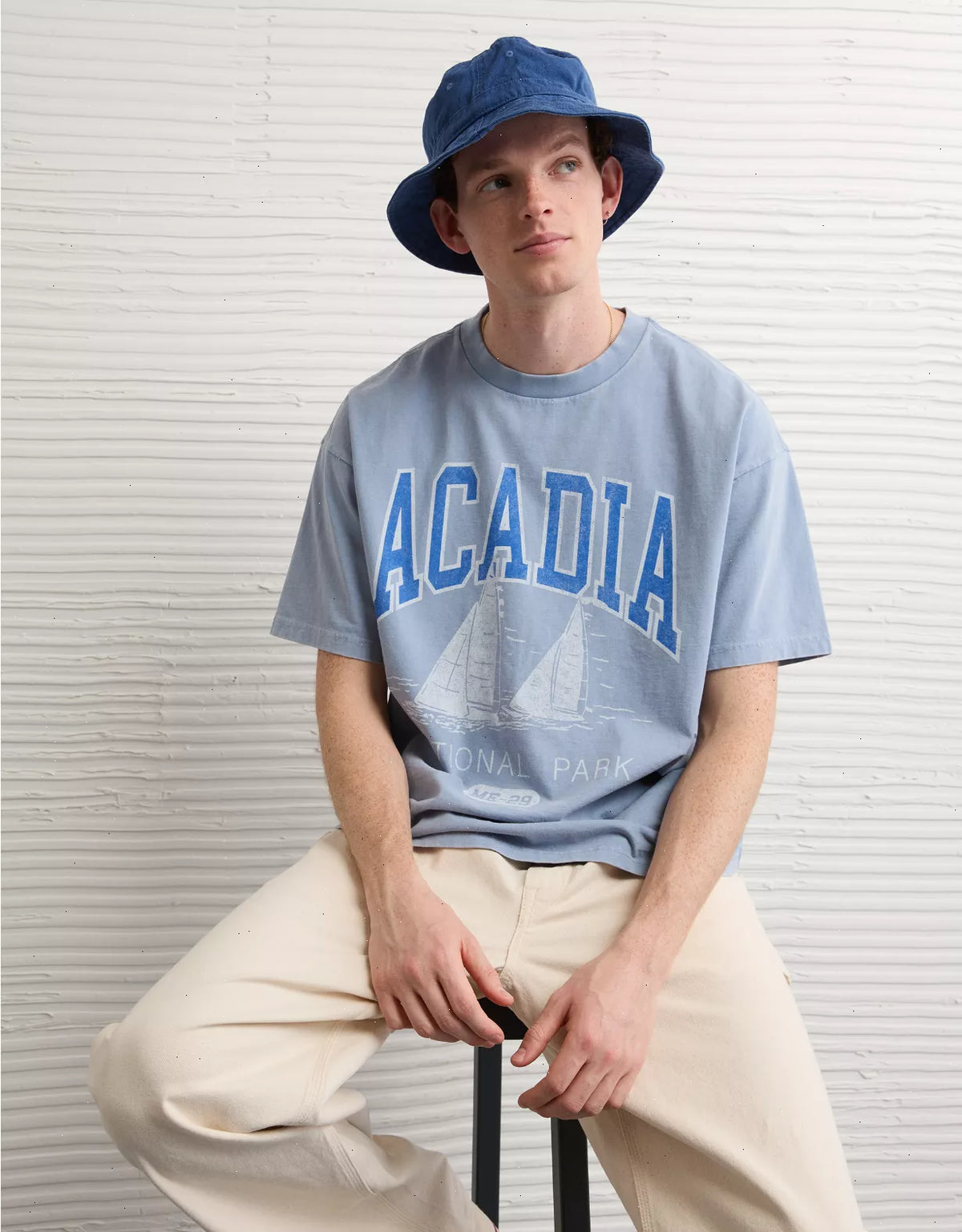 AE Boxy Acadia Nat'l Park Graphic T-Shirt