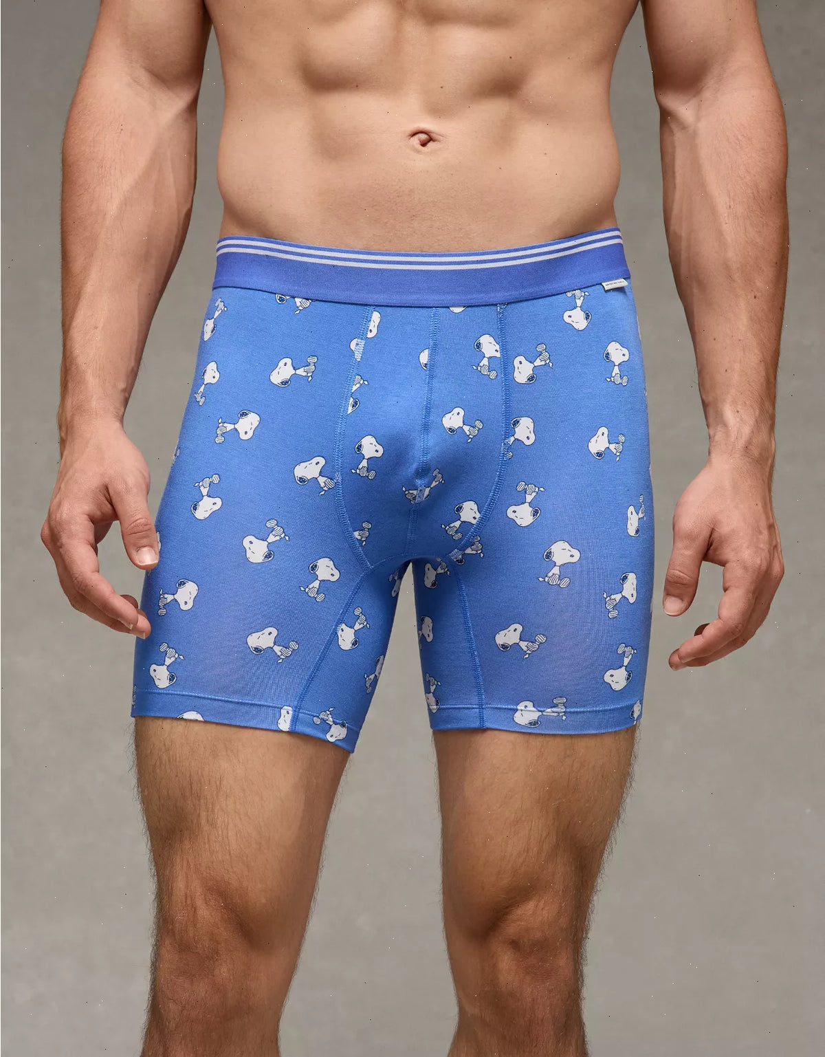 AEO Men's 6" Ultra Soft Boxer Brief
