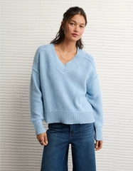 AE Long Weekend V-Neck Sweater
