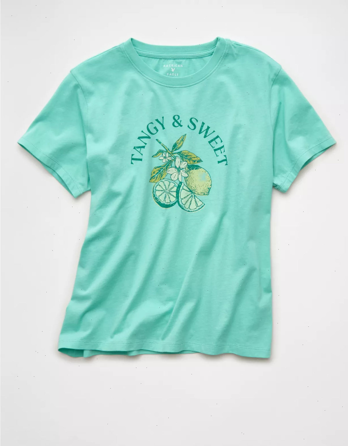 AE Everyday Graphic T-Shirt