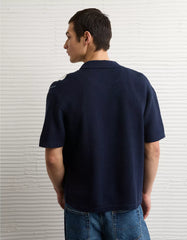 AE Striped Button-Up Sweater Polo