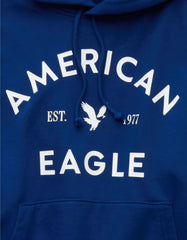 AE Lightweight Graphic Hoodie