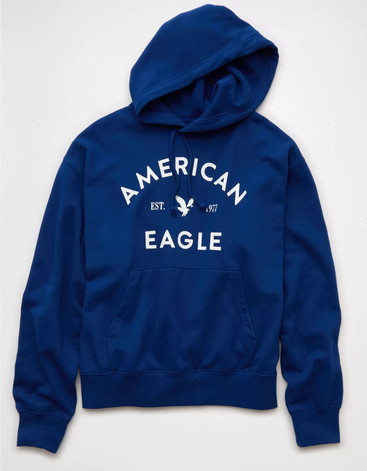 AE Lightweight Graphic Hoodie