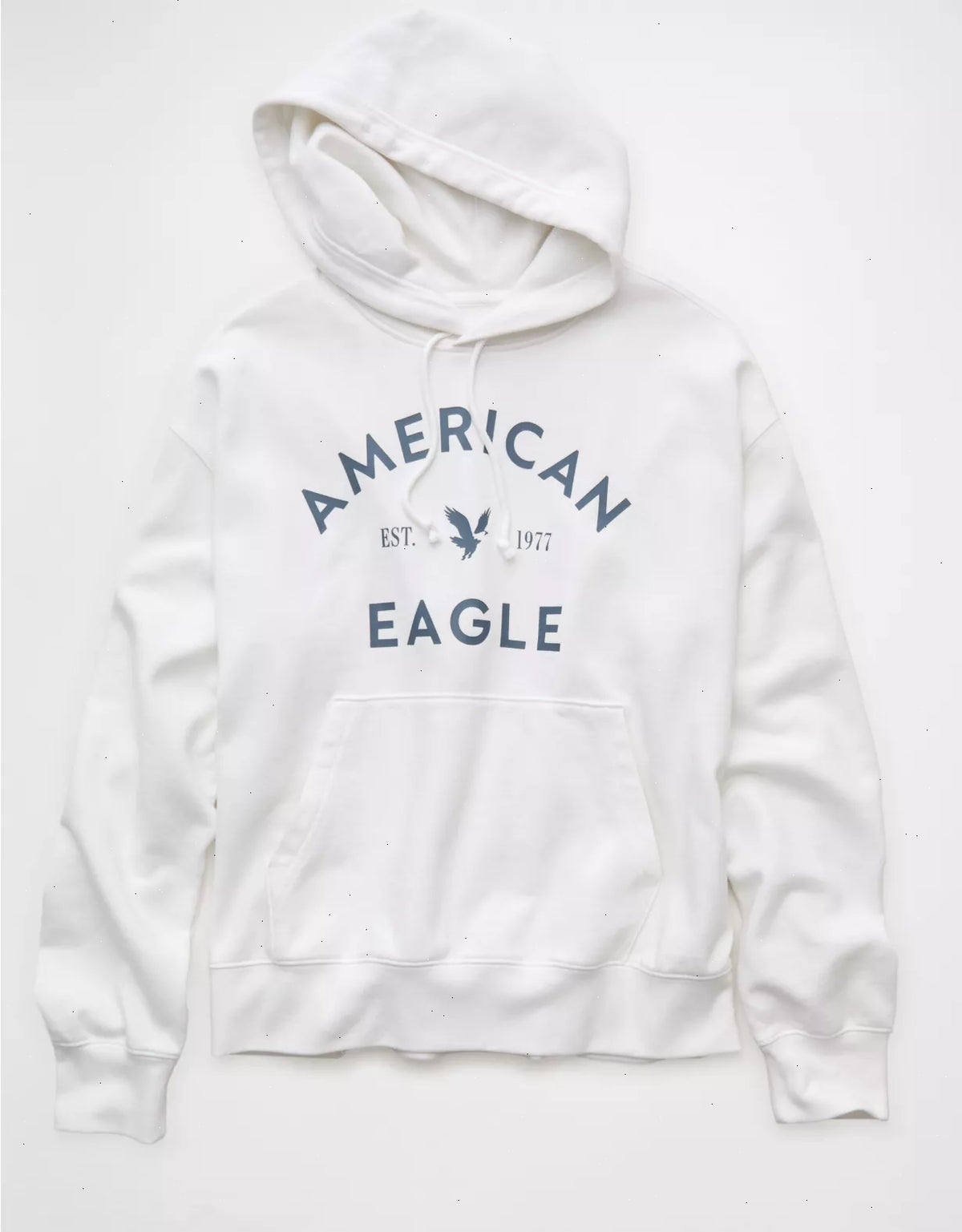 AE Lightweight Graphic Hoodie