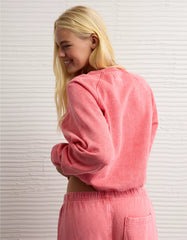 AE Cropped Raglan Sweatshirt