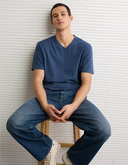 AE Lived-In V-Neck T-Shirt