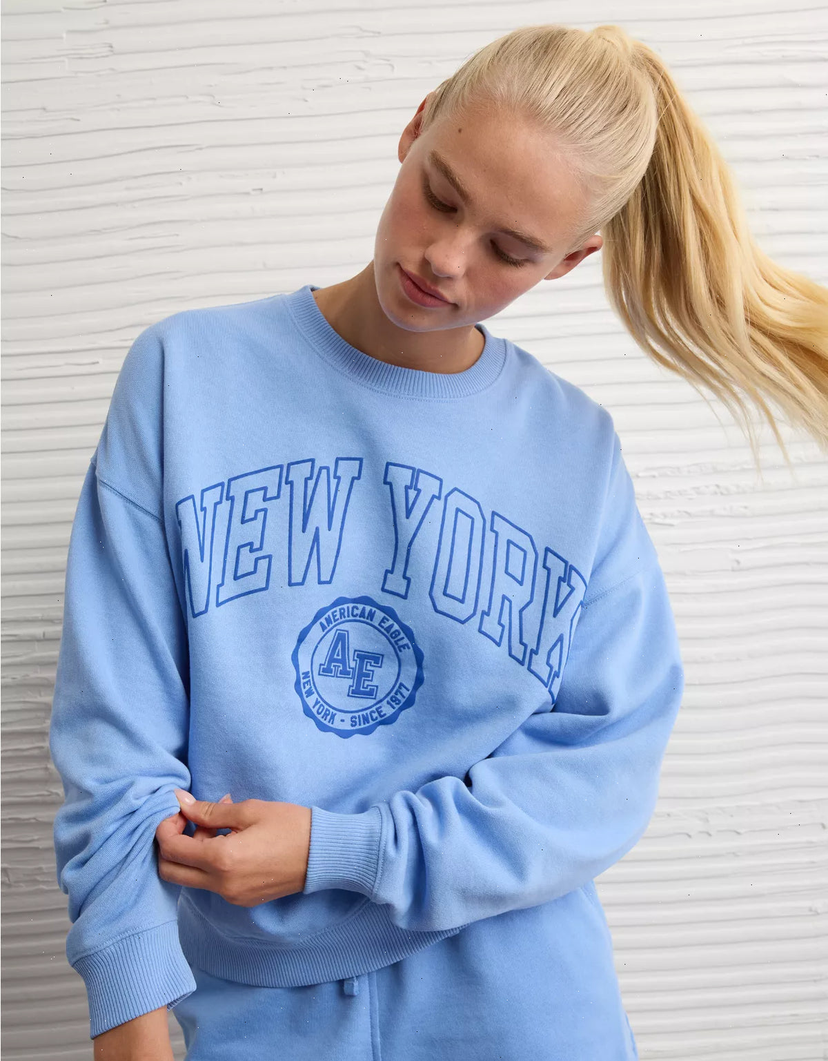 AE Funday Crew Neck Sweatshirt