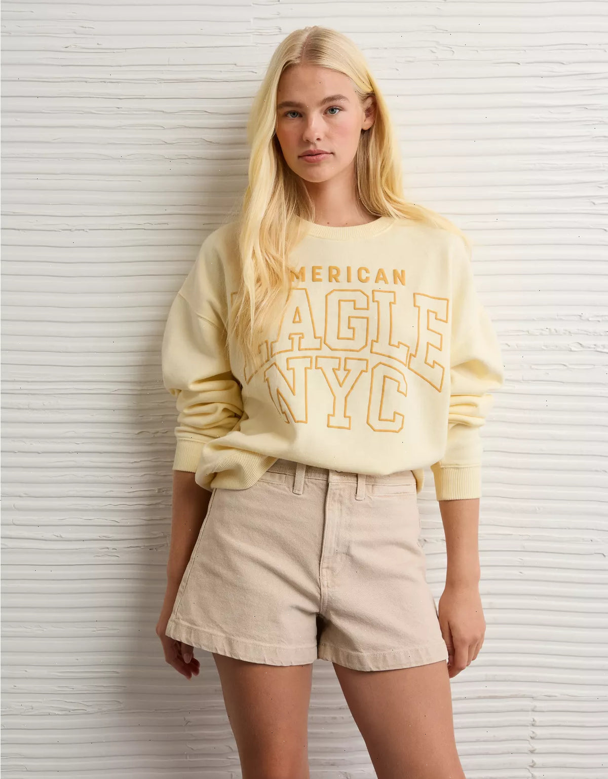 AE Funday Crew Neck Sweatshirt